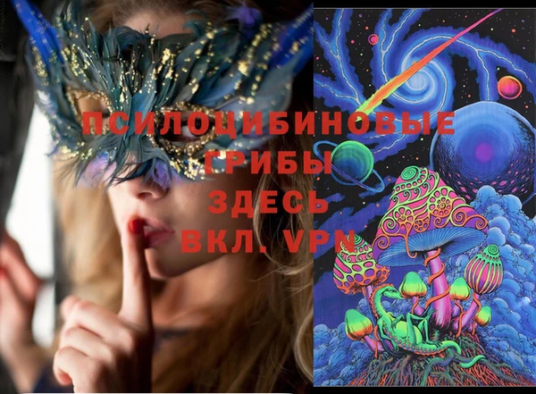 MESCALINE Аркадак